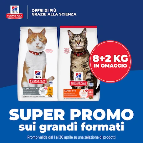 Lettiera per gatti in acciaio inossidabile