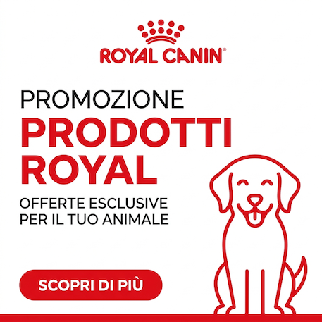 Lettiera per gatti in acciaio inossidabile
