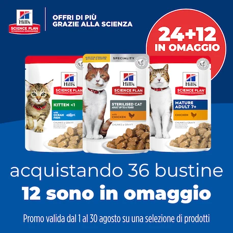 Lettiera per gatti in acciaio inossidabile