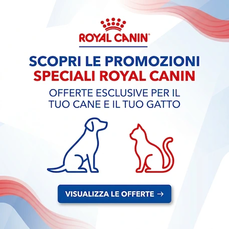 Lettiera per gatti in acciaio inossidabile