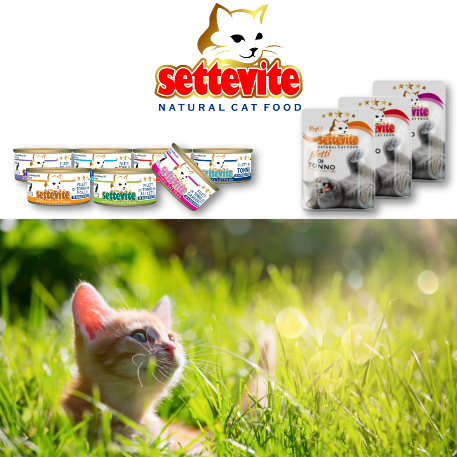 Sacco scorta Sconto 15%